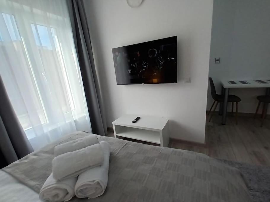Old Town Studio 1 Apartment Nr 4 Baia Mare Ngoại thất bức ảnh