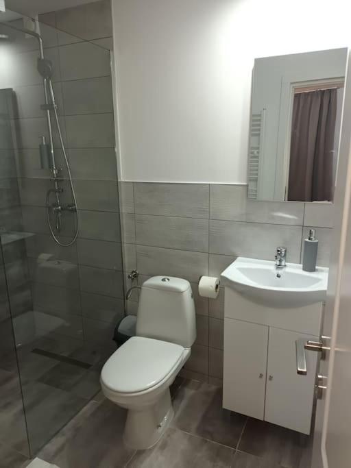 Old Town Studio 1 Apartment Nr 4 Baia Mare Ngoại thất bức ảnh