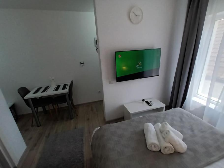 Old Town Studio 1 Apartment Nr 4 Baia Mare Ngoại thất bức ảnh