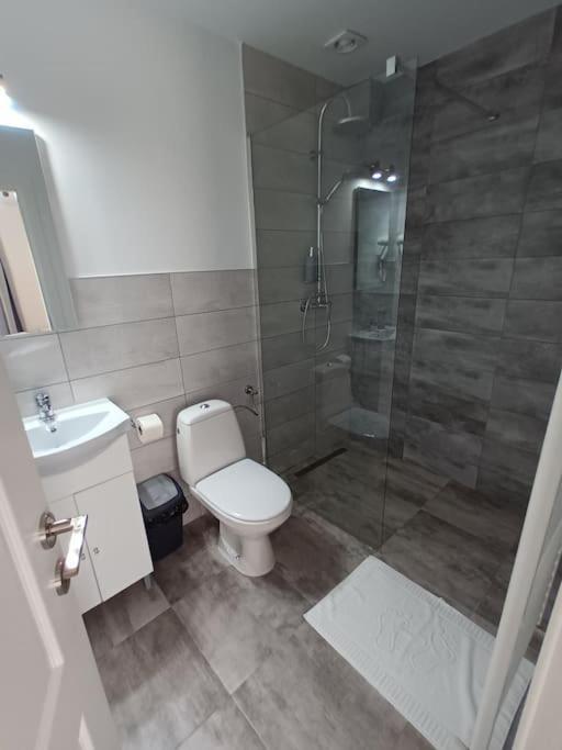 Old Town Studio 1 Apartment Nr 4 Baia Mare Ngoại thất bức ảnh