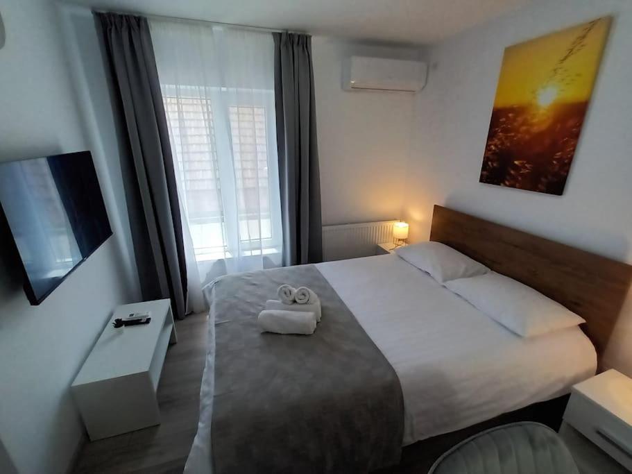 Old Town Studio 1 Apartment Nr 4 Baia Mare Ngoại thất bức ảnh